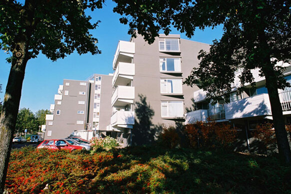 Rijtse Akkers 28